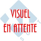 Gilet Polaire Technique