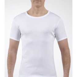 Maillot de Corps MC Col Rond
