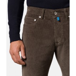Pantalon Velours Taupe