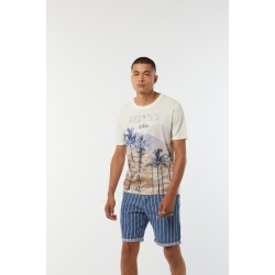 T-shirt Coton
